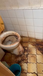 nettoyage maison excréments